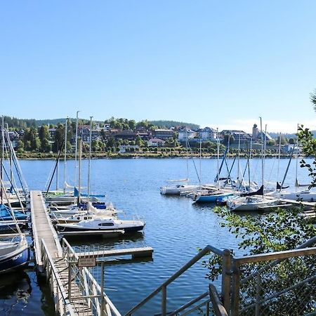 Fewo Sperlingskauz Mit Pool, Sauna & Hochschwarzwaldcard Schluchsee Eksteriør billede