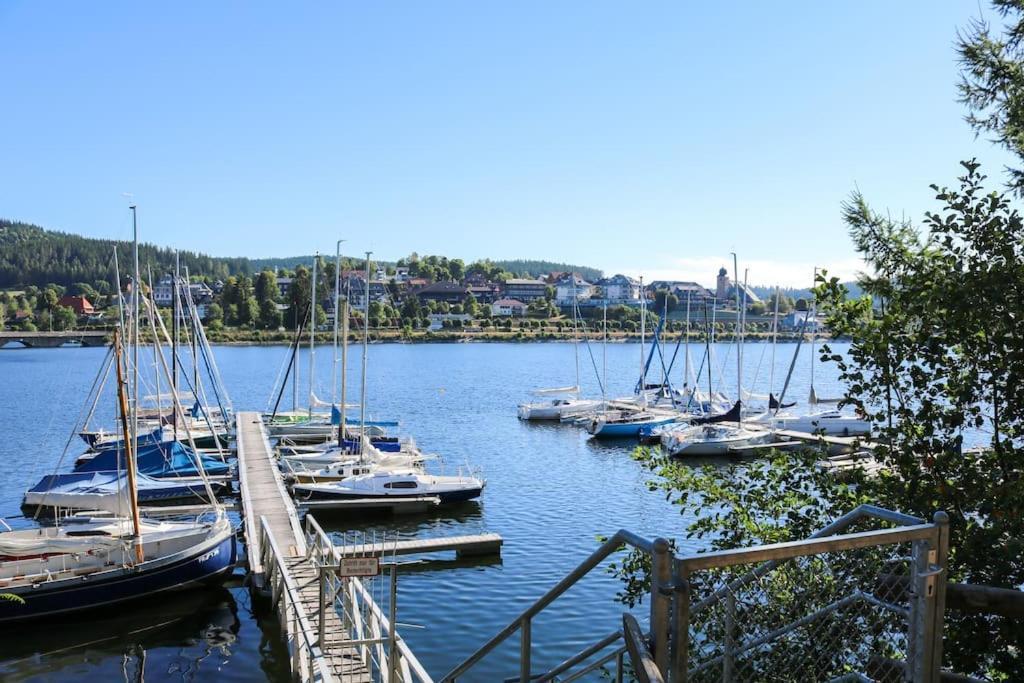 Fewo Sperlingskauz Mit Pool, Sauna & Hochschwarzwaldcard Schluchsee Eksteriør billede