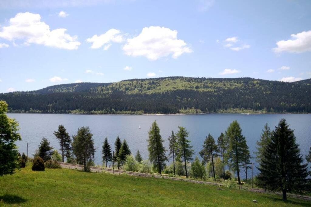 Fewo Sperlingskauz Mit Pool, Sauna & Hochschwarzwaldcard Schluchsee Eksteriør billede