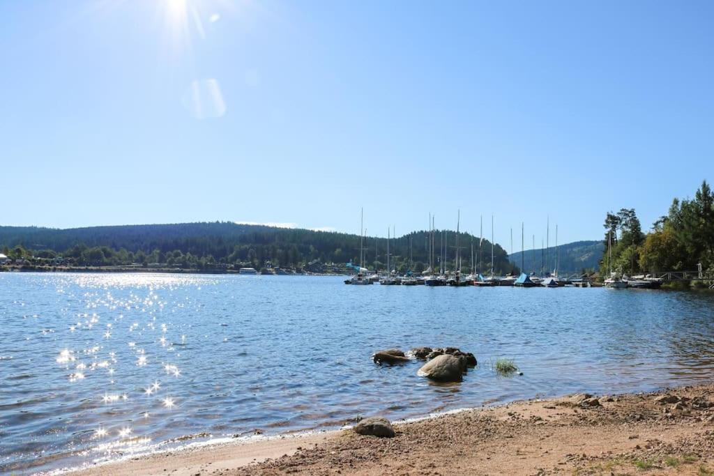 Fewo Sperlingskauz Mit Pool, Sauna & Hochschwarzwaldcard Schluchsee Eksteriør billede