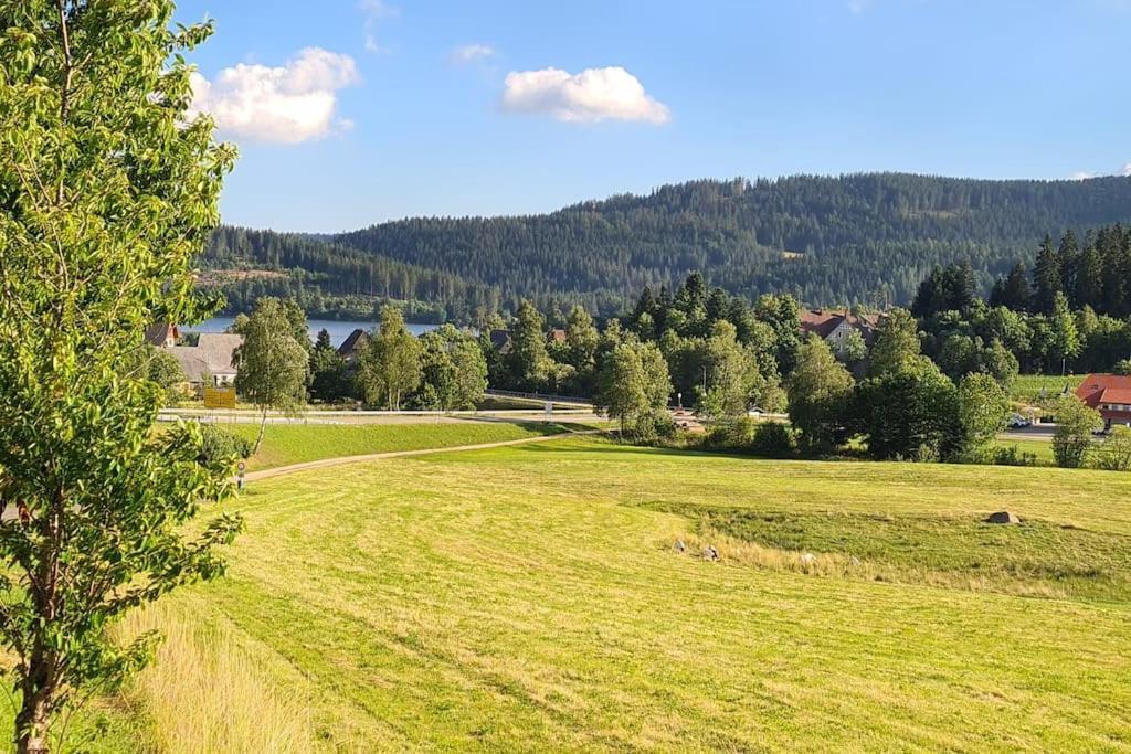 Fewo Sperlingskauz Mit Pool, Sauna & Hochschwarzwaldcard Schluchsee Eksteriør billede