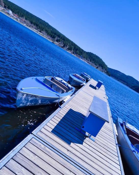 Fewo Sperlingskauz Mit Pool, Sauna & Hochschwarzwaldcard Schluchsee Eksteriør billede