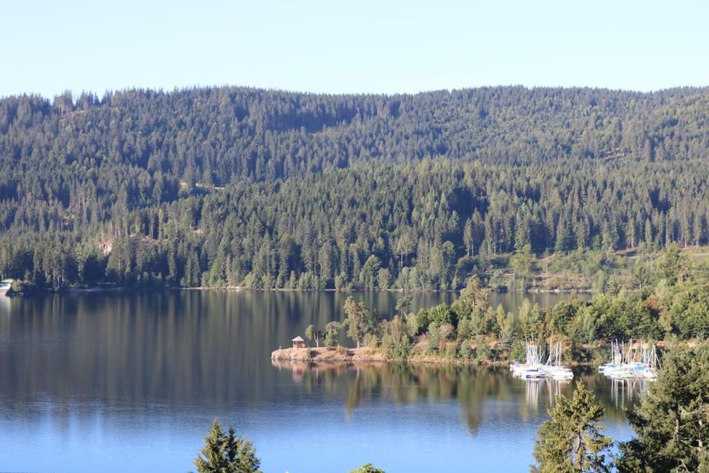 Fewo Sperlingskauz Mit Pool, Sauna & Hochschwarzwaldcard Schluchsee Eksteriør billede