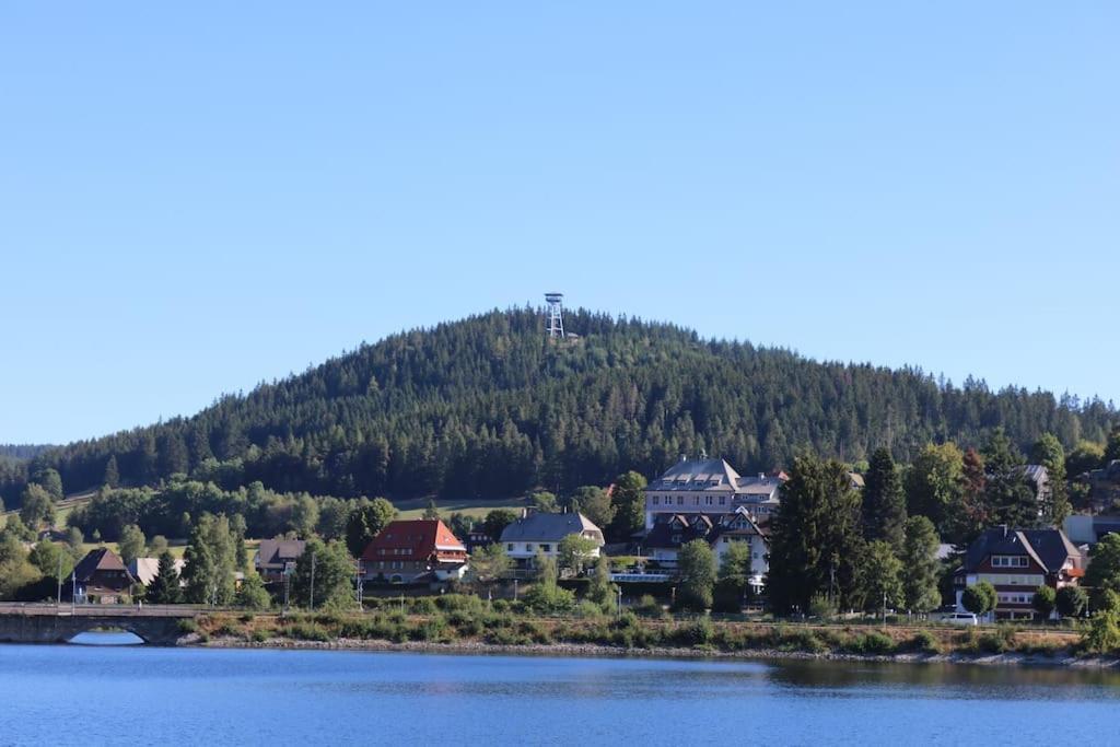 Fewo Sperlingskauz Mit Pool, Sauna & Hochschwarzwaldcard Schluchsee Eksteriør billede