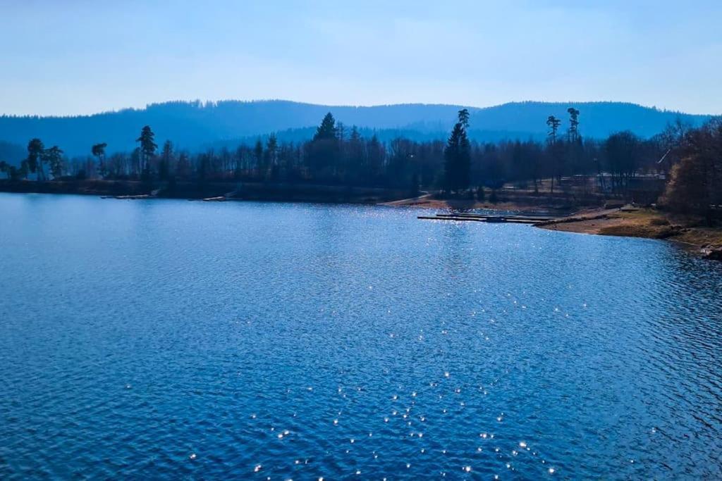 Fewo Sperlingskauz Mit Pool, Sauna & Hochschwarzwaldcard Schluchsee Eksteriør billede