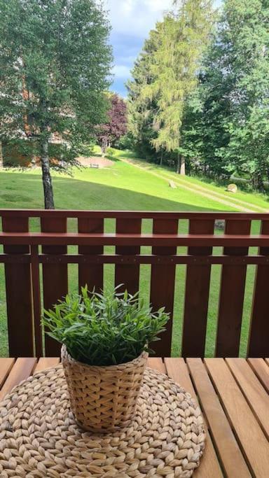Fewo Sperlingskauz Mit Pool, Sauna & Hochschwarzwaldcard Schluchsee Eksteriør billede